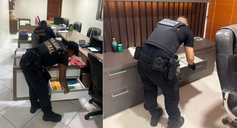 PF combate desmatamento equivalente a mais de 15 mil campos de futebol na Amazônia