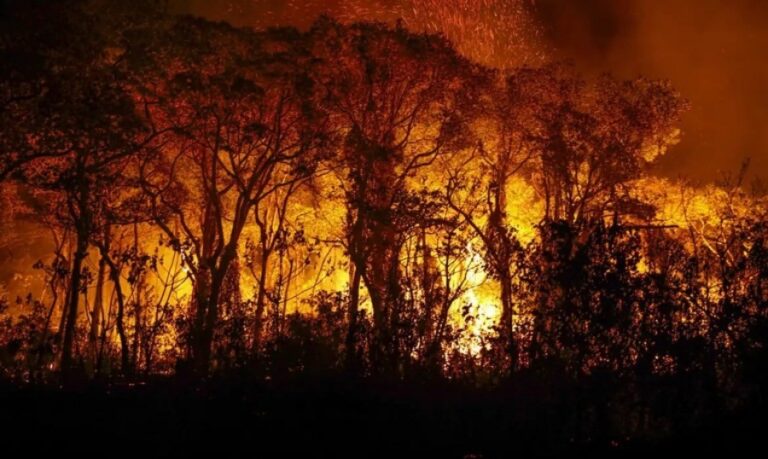 PF inicia operação de enfrentamento aos incêndios florestais na Amazônia e Pantanal