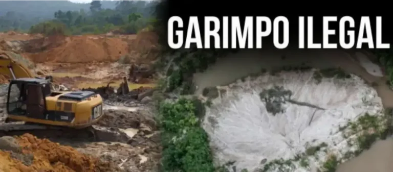 A pedido do MPF, Justiça Federal determina medidas de repressão ao garimpo ilegal em Campo Novo de Rondônia (RO)