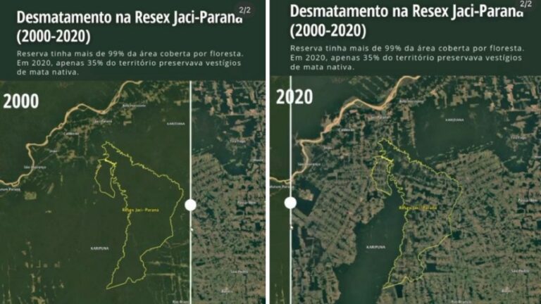 MPF vai à Justiça pedir que gestão da Reserva Extrativista Jaci-Paraná, em Rondônia, passe para a União