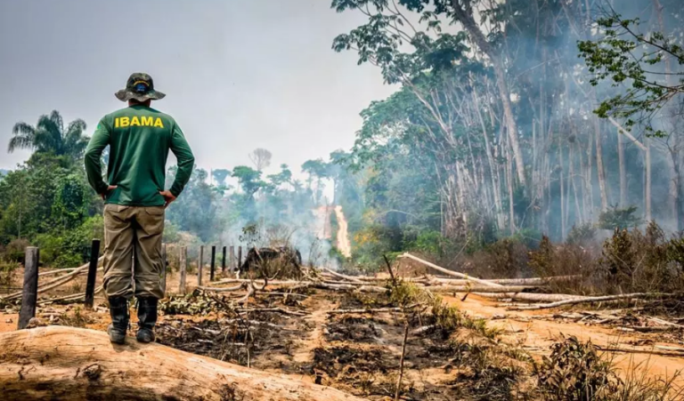  Aprovação do PL do Licenciamento Ambiental abre caminho para mais desmatamento