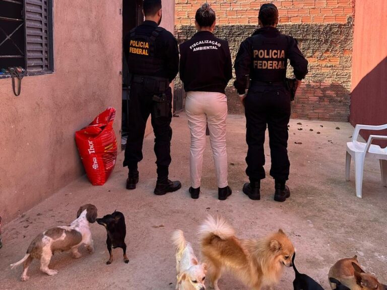 Ação da PF combate crimes de abuso sexual infantojuvenil, produção e armazenamento de material e crueldade animal